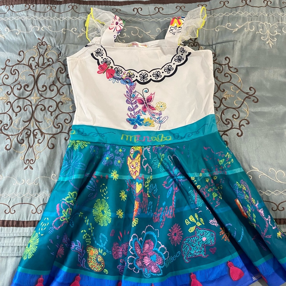 Mirabel Costume Colorful Embroidered Dress